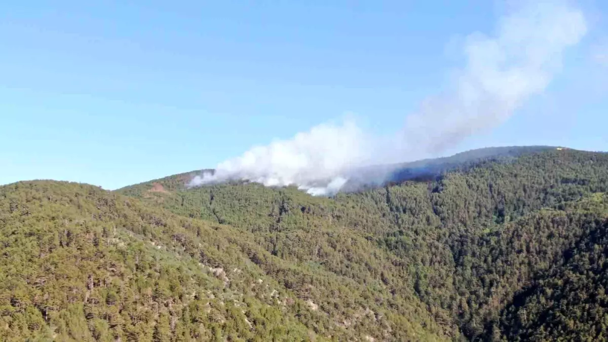kastamonu-cankiri-hududunda-orman-yangini-RTc7S32E.jpg
